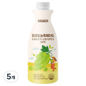 데이웰 쥬피터 청포도 농축 에이드, 1.12kg, 5개