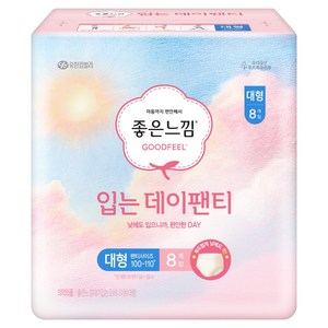 좋은느낌 입는 데이팬티 생리대