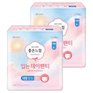 좋은느낌 입는 데이팬티 생리대
