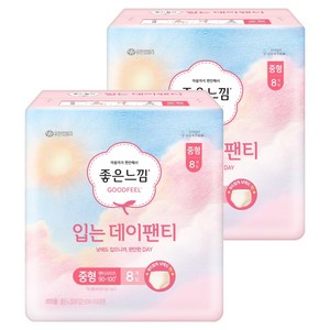 좋은느낌 입는 데이팬티 생리대