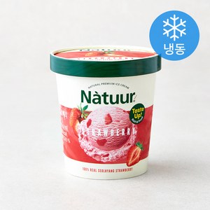 롯데웰푸드 나뚜루 스트로베리 아이스크림 (냉동)