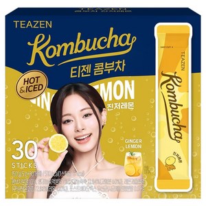 티젠 콤부차 진저레몬