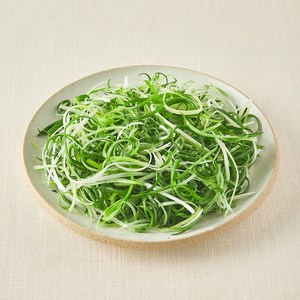 친환경 국내산 파채, 300g, 1개