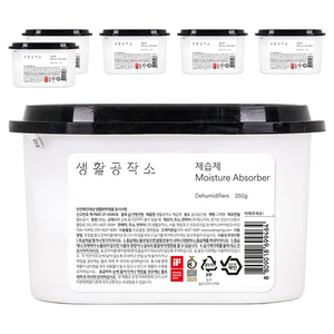 생활공작소 제습제 본품, 250g, 6개