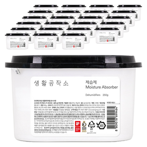 생활공작소 제습제 본품, 250g, 24개