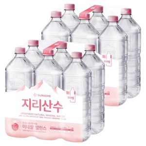 아워홈 지리산수 무라벨, 2L, 12개