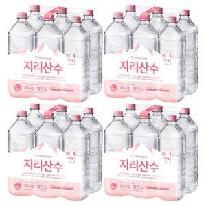 아워홈 지리산수, 2L, 24개