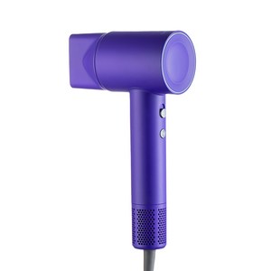 라쿠진 프리미엄 플라즈마 BLDC 고속 헤어 드라이어 1600W