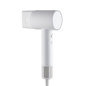 라쿠진 프리미엄 플라즈마 BLDC 고속 헤어 드라이어 1600W