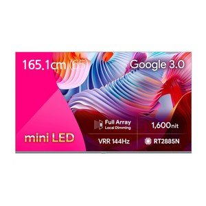 더함 4K UHD QLED TV, 165cm(65인치), 스마트 TV, 벽걸이형, 방문설치