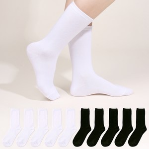 두발로 여성용 프리미엄 무지 장목 양말 10켤레 세트