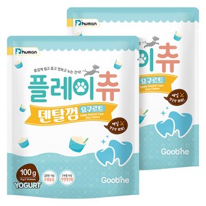 듀먼 강아지 플레이츄 덴탈껌 10p, 요구르트, 100g, 2개