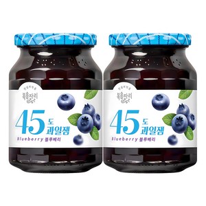 복음자리 45도 과일잼 블루베리, 350g, 2개