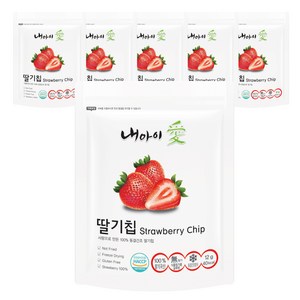 내아이애 동결건조 딸기칩, 12g, 6개