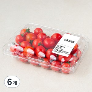 방울토마토, 500g, 6팩