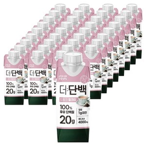 더단백 드링크 밀크티, 250ml, 36개