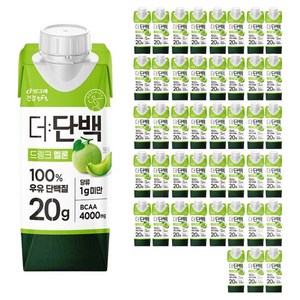 더단백 멜론, 250ml, 54개