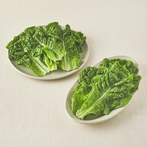 국내산 친환경 청상추, 150g, 1봉