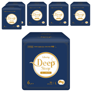 리버티 딥슬립 입는 오버나이트, 대형, 6개입, 6개