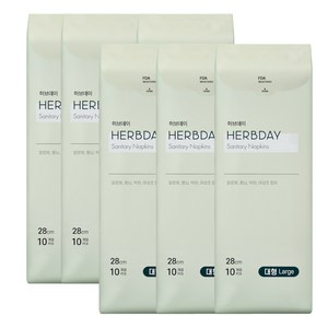허브데이 생리대 날개형, 대형, 10개입, 6개