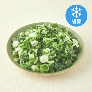유기농 인증 간편 대파 (냉동), 300g, 1개