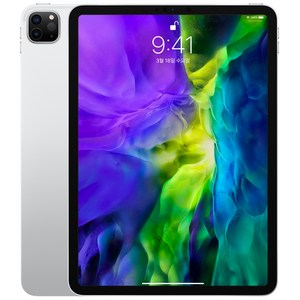 Apple iPad Pro 11 2세대, 실버, 128GB, Wi-Fi