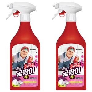 홈스타 맥스프레쉬 뿌리는 곰팡이 싹 세정제, 500ml, 2개