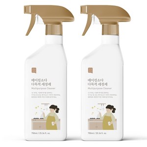 쉼표365 베이킹소다 대용량 다목적 세정제, 2개, 750ml