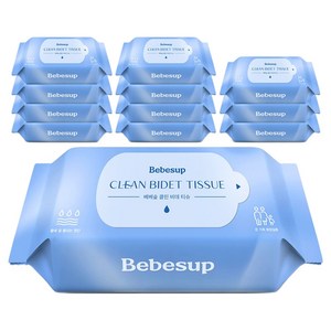 베베숲 클린 비데티슈 휴대형