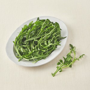 친환경 와일드 루꼴라 50g, 50g, 1개