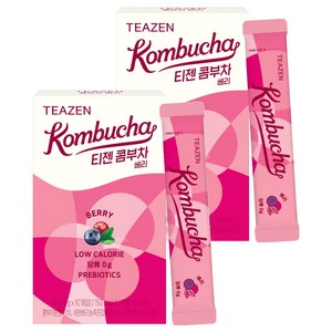 티젠 콤부차 베리