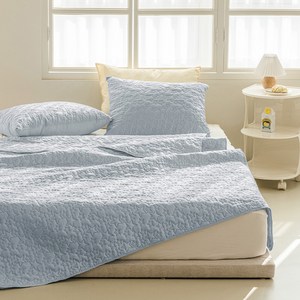 더자리 에코항균 마이크로 이불 겸 패드 스프레드