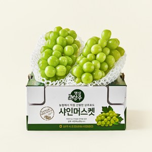 명실상주 고당도 샤인머스켓, 1.5kg(2~3송..., 1개