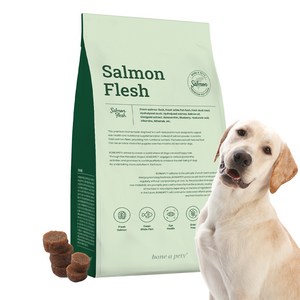 본아페티 플러스 강아지 기능성 스팀 수제사료