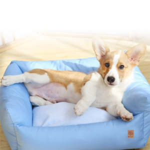 딩동펫 반려동물 달콤 모찌방석, 블루, 1개