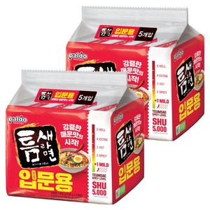 틈새라면 입문용 120g, 10개