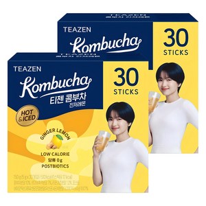 티젠 콤부차 진저레몬