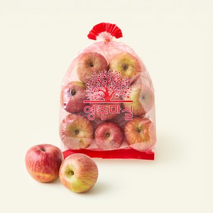 영주마실 못난이 사과 소과 8~10개입, 1.5kg, 1개
