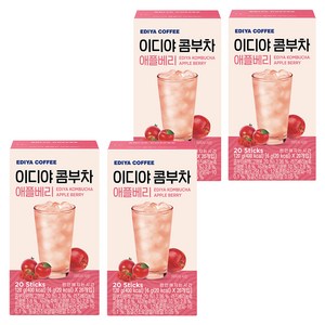 이디야커피 콤부차 애플베리