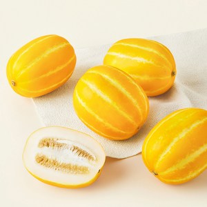 성주 당도선별 참외, 1.2kg(4~5입..., 1봉