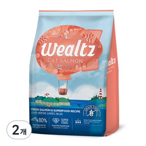 웰츠 전연령 캣 건식사료, 연어, 2.1kg, 2개