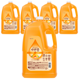 [비건라이프] 자연퐁 비린내 걱정없는 오렌지 주방세제, 3.92L, 5개