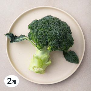 친환경 제주 브로콜리