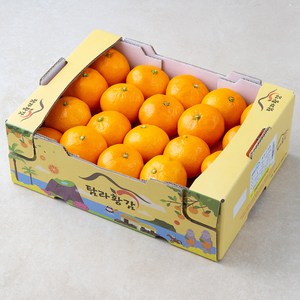 탐라황감 당도선별 서귀포 하우스 감귤, 2.5kg, 1박스