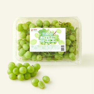프레시몬 미국산 청포도, 600g, 1개