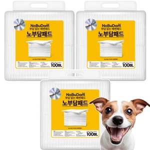 강아지 노부담 절약형 무형광 배변패드 무향, 표준형(50 x 4..., 100개입, 3개