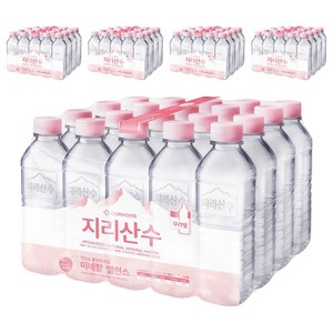 지리산수 무라벨, 500ml, 100개