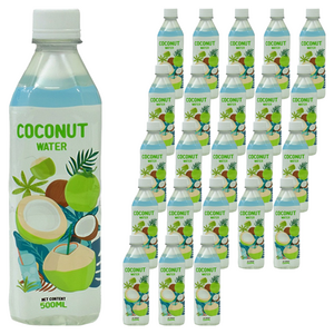 RFC비넛 코코넛 워터 100%, 500ml, 24개