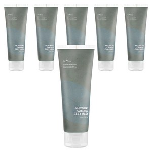 이즈앤트리 머그워트 카밍 클레이 마스크 100ml, 1개입, 6개