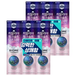 히말라야핑크솔트 담은 바이옴 잇몸 구취전문 치약, 160g, 6개